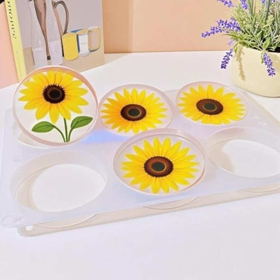 6 Bölmeli Derin Yuvarlak Barda - Coaster Mold Round incelemesi ve fiyatı