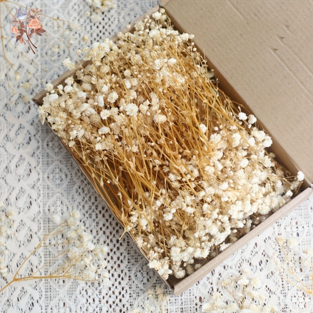 100 adet Mini Kurutulmuş Cipso - Resin Craft Ideas incelemesi ve fiyatı