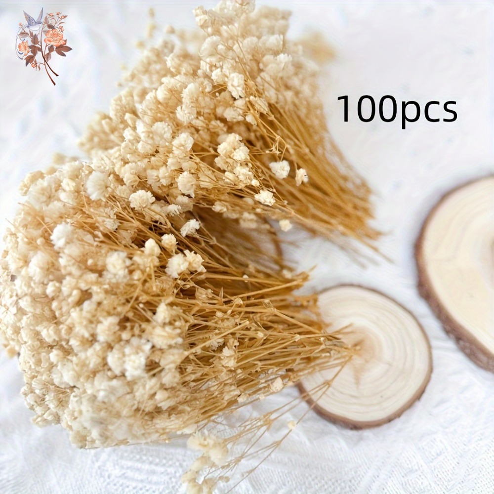 100 adet Mini Kurutulmuş Cipso - Resin Craft Ideas incelemesi ve fiyatı